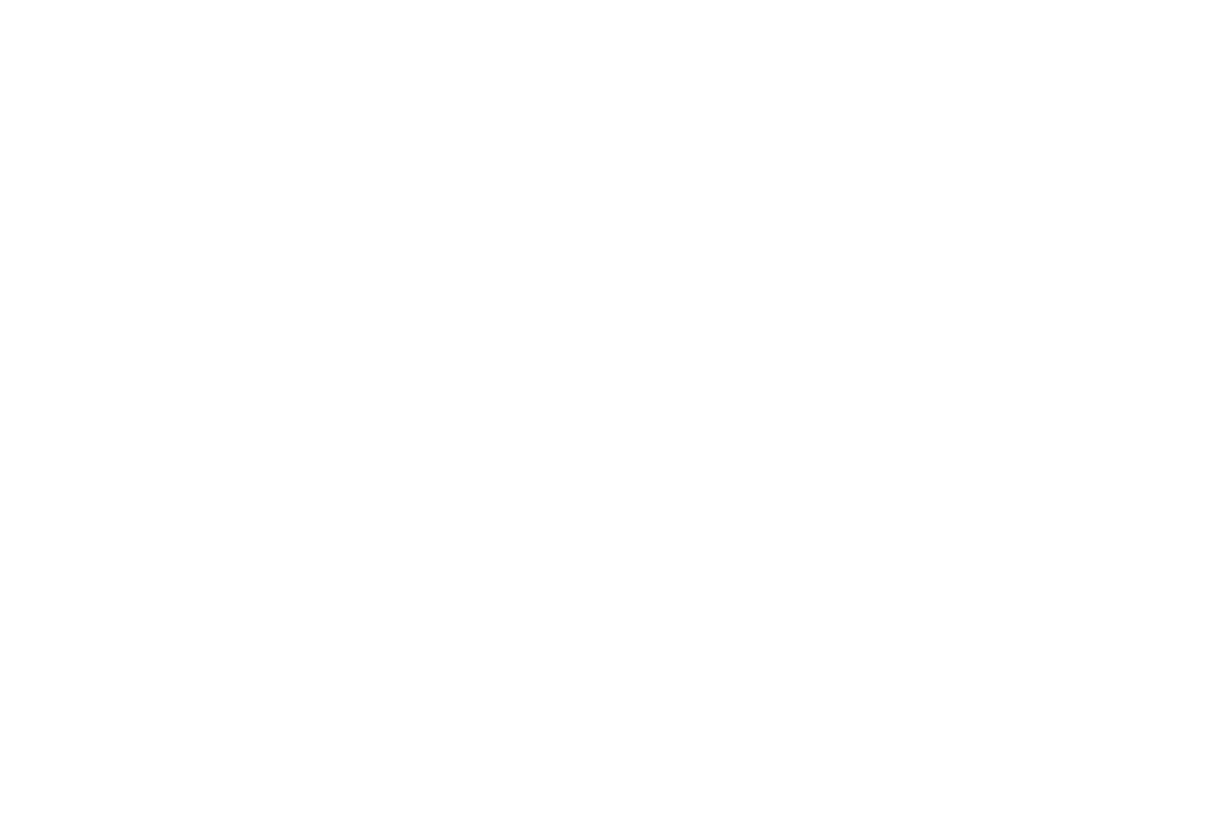 Official Selection — BLACK AI FEST International A.I Film Academy Festival & Awards · 2026