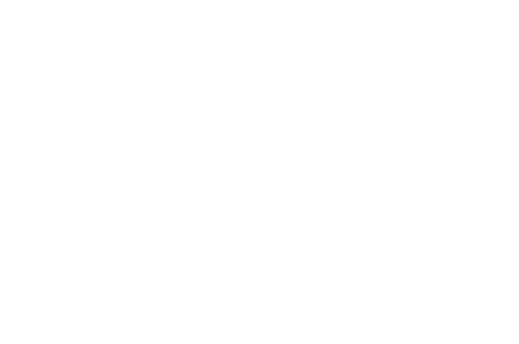 Official Selection — Pulse Of Animation Festival 2026